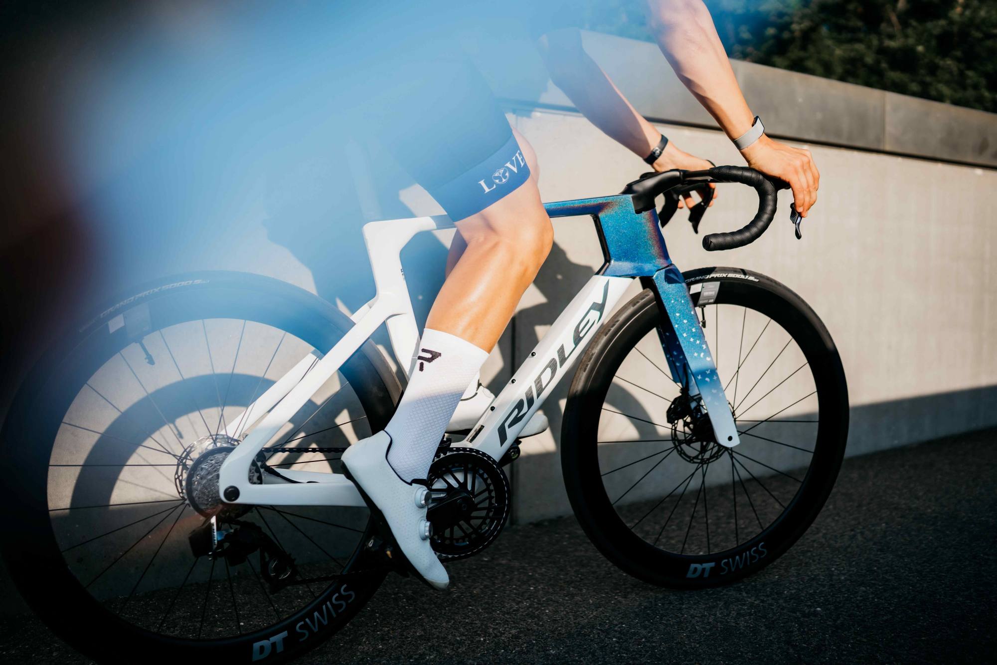Ridley Noah im Detail