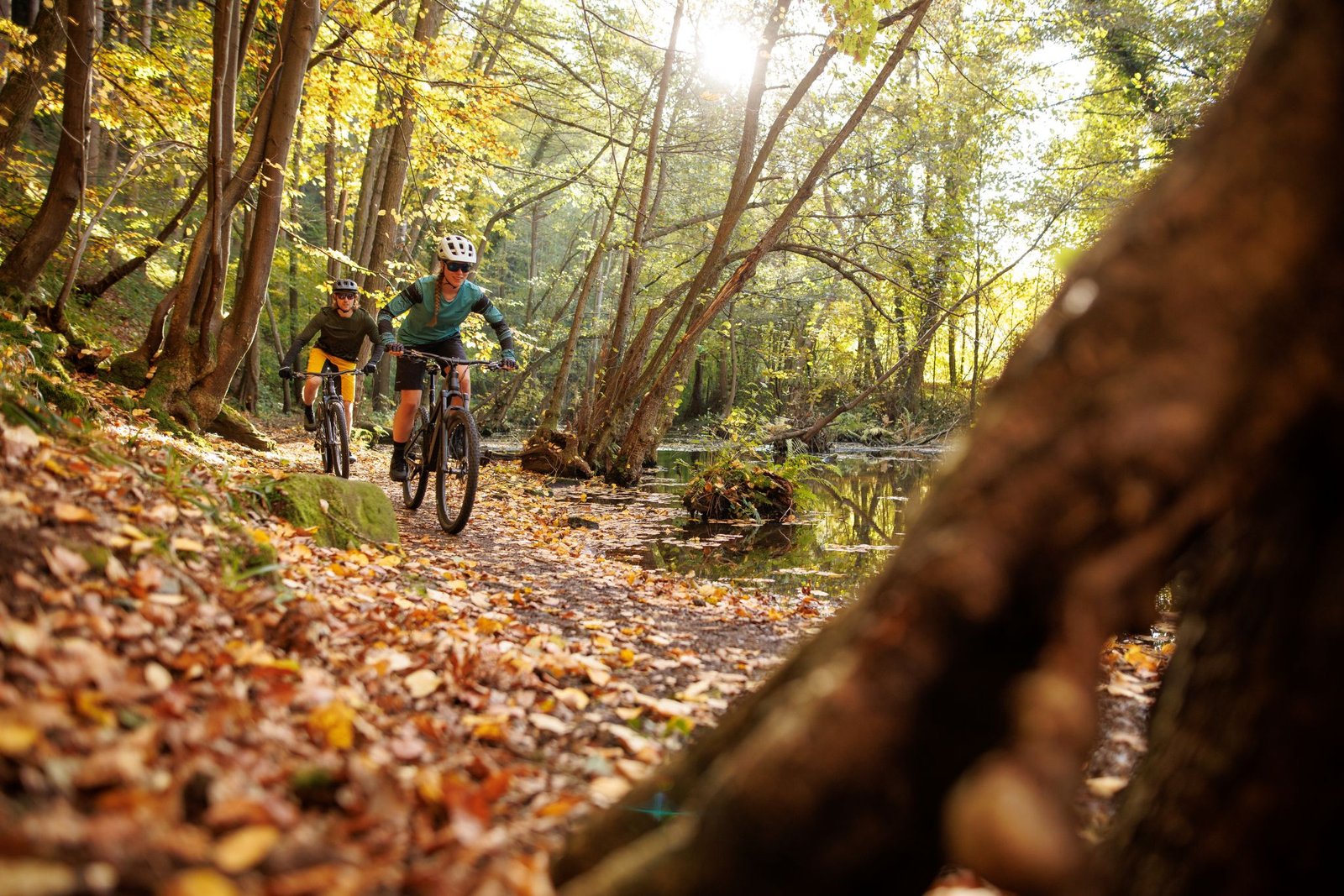 Waldstimmung mit Mountainbikes